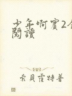 少年啊宾2全文阅读