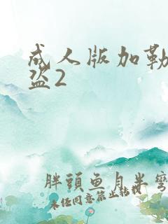 成人版加勒比海盗2