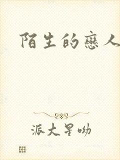 陌生的恋人小说