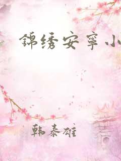 锦绣安宁小说