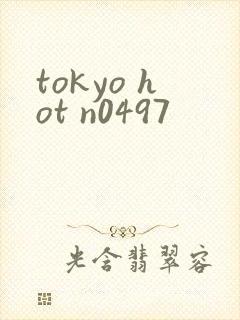 tokyo hot n0497