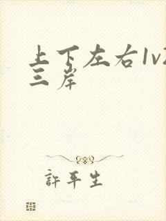 上下左右1v2三岸