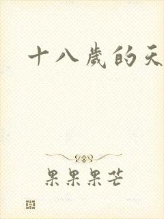 十八岁的天空续
