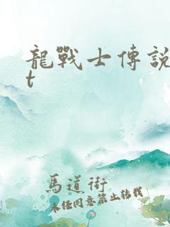 龙战士传说txt