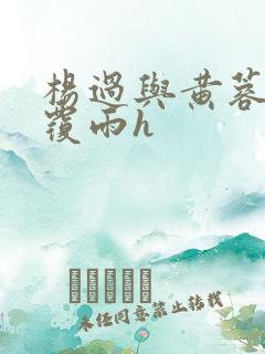 杨过与黄蓉翻云覆雨h
