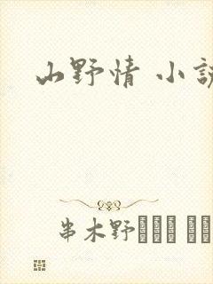 山野情 小说
