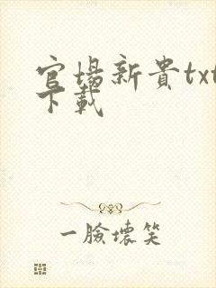 官场新贵txt下载