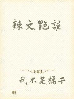 辣文艳说