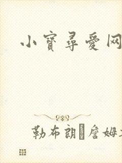 小宝寻爱网址