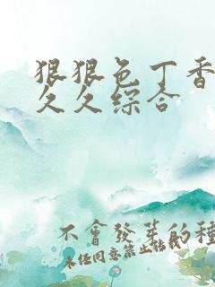 狠狠色丁香婷婷久久综合