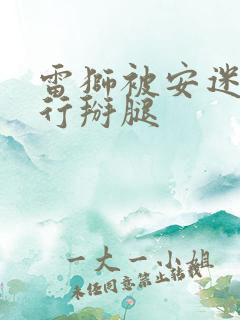 雷狮被安迷修强行掰腿