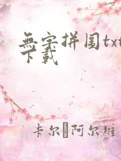 无字拼图txt下载