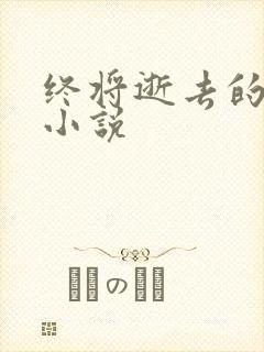 终将逝去的青春小说