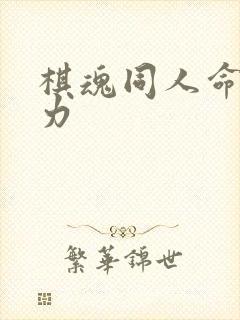 棋魂同人命运之力