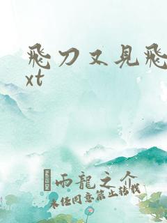 飞刀又见飞刀txt