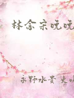 林念宋晚晚小说