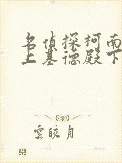 名侦探柯南之赖上基德殿下