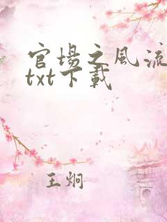 官场之风流人生txt下载