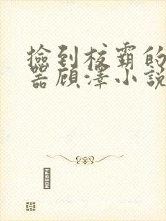 捡到校霸的遥控器顾泽小说免费阅读