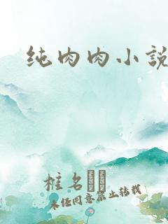 纯肉肉小说