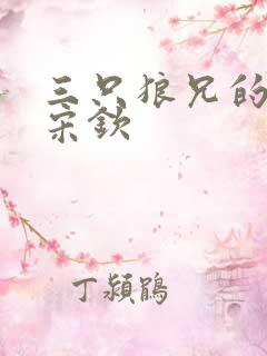 三只狼兄的宠妻宋钦