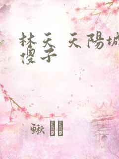 林天 天阳城 傻子