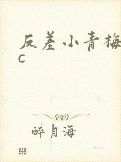 反差小青梅不经c