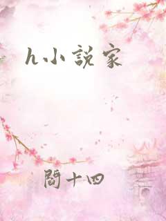 h小说家