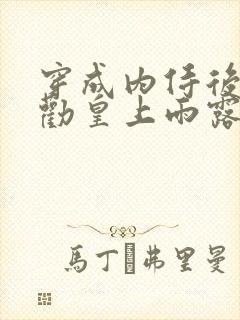 穿成内侍后总在劝皇上雨露均沾