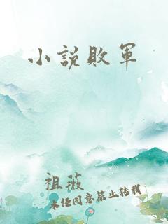 小说败军