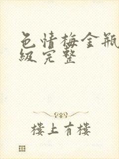 色情梅金瓶2三级完整