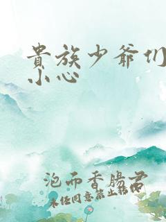 贵族少爷们 请小心