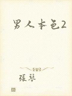 男人本色2