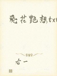 飞花艳想txt