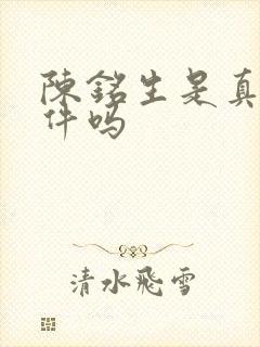 陈铭生是真实事件吗