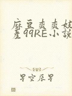 麻豆爽爽妓女国产99RE小说