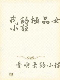 我的极品女老师小说