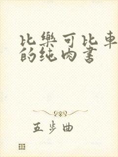 比乐可比车速快的纯肉书