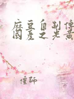 麻豆自制传媒 国产之光黄