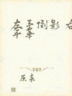 左手倒影 右手年华