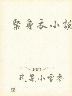 紧身衣小说
