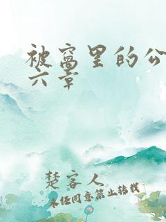 被窝里的公息十六章