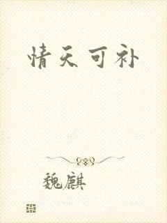情天可补