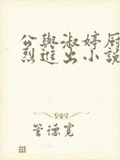 公与淑婷厨房猛烈进出小说