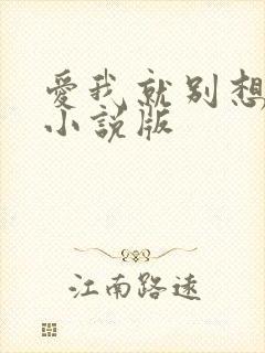 爱我就别想太多小说版
