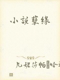 小说孽缘