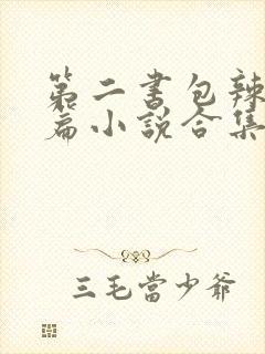 第二书包辣网短篇小说合集