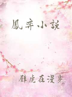 凤弈小说