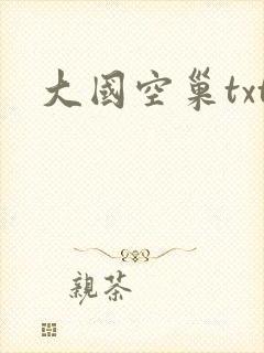 大国空巢txt