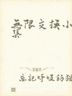 无限交换小说全集